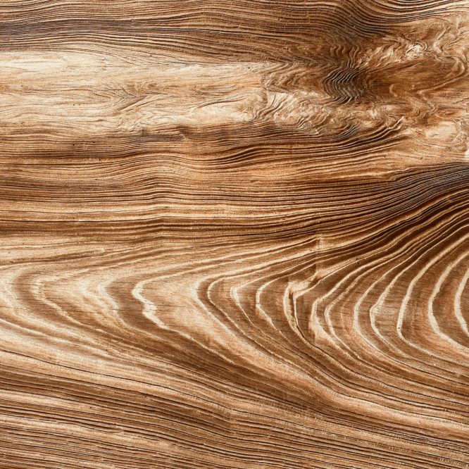 pexels-dlkr-5676478 (1)